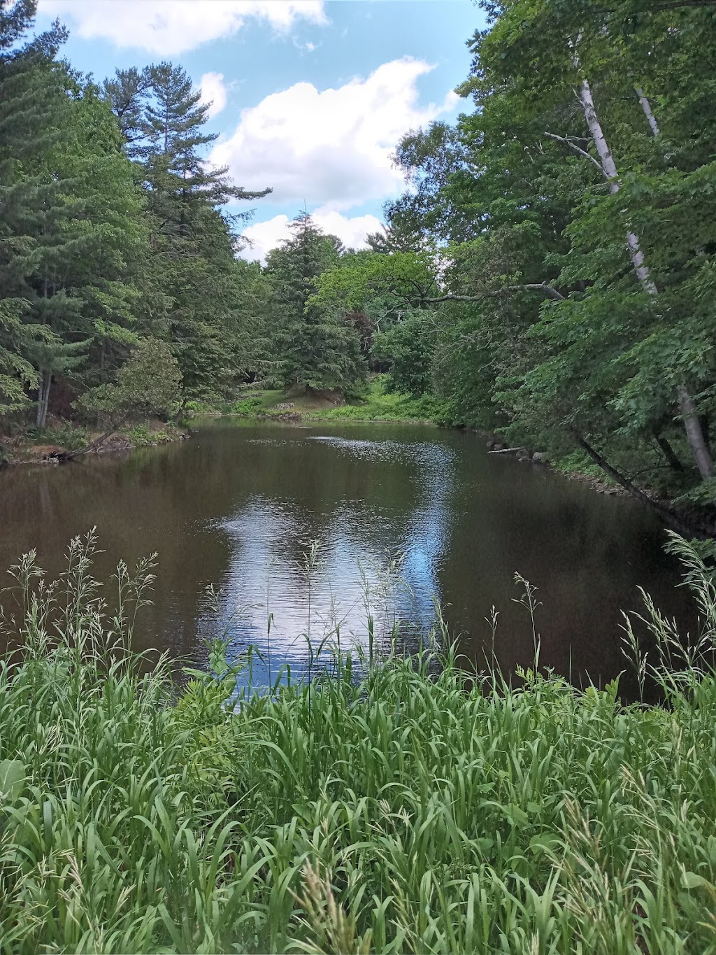Club De Golf De Knowlton | 264 Chem. Lakeside, Knowlton, QC J0E 1V0, Canada | Phone: (450) 243-6622