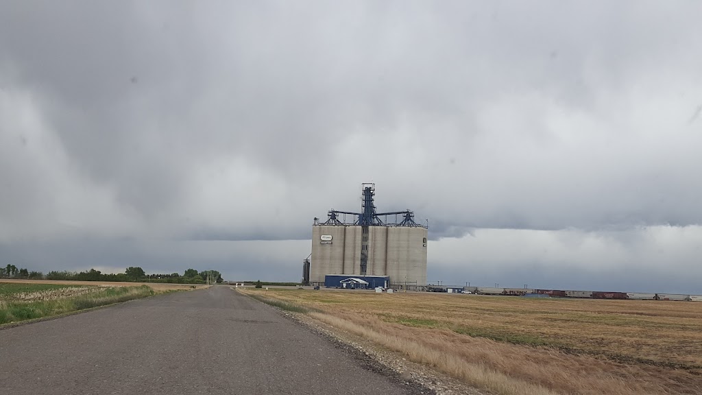 Viterra | 224105 Range Rd 275, Alberta T1X 0H8, Canada | Phone: (403) 936-3100