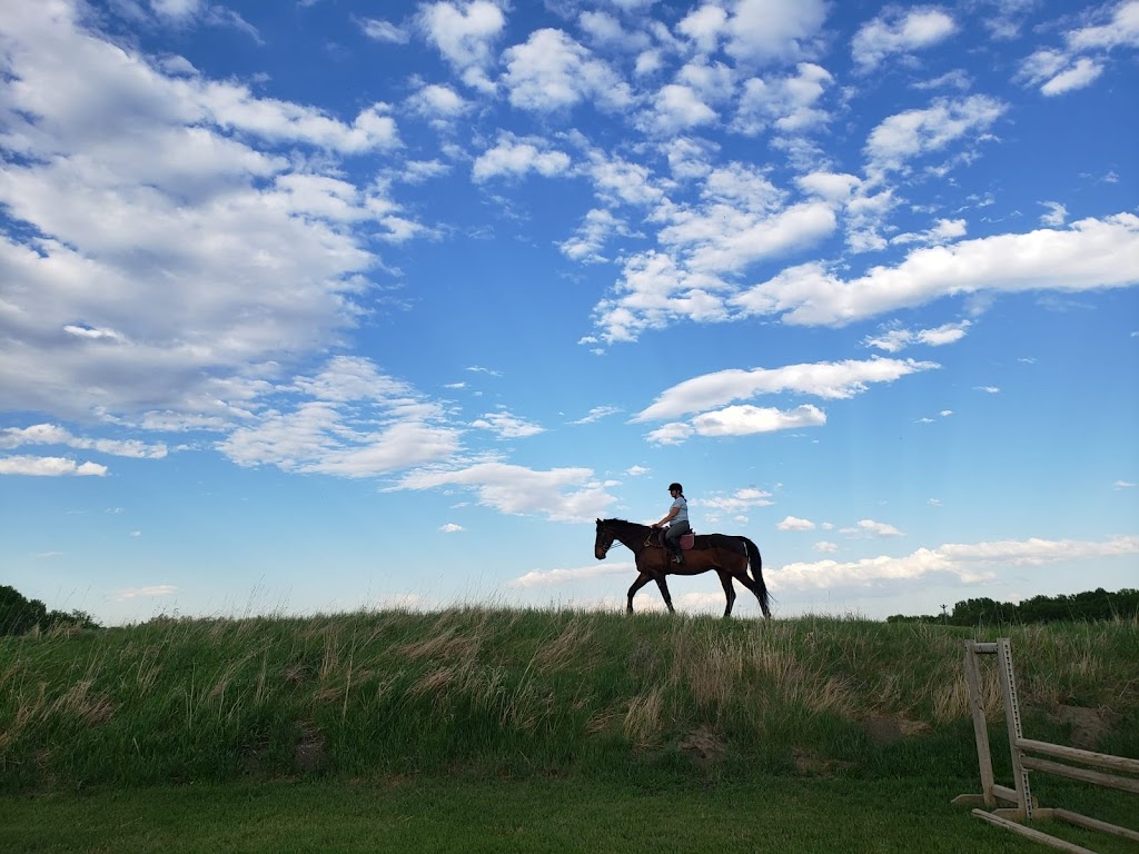 Willow Grove Stables | 80137 2253 Dr E, Alberta T1S 4V2, Canada | Phone: (403) 540-5380