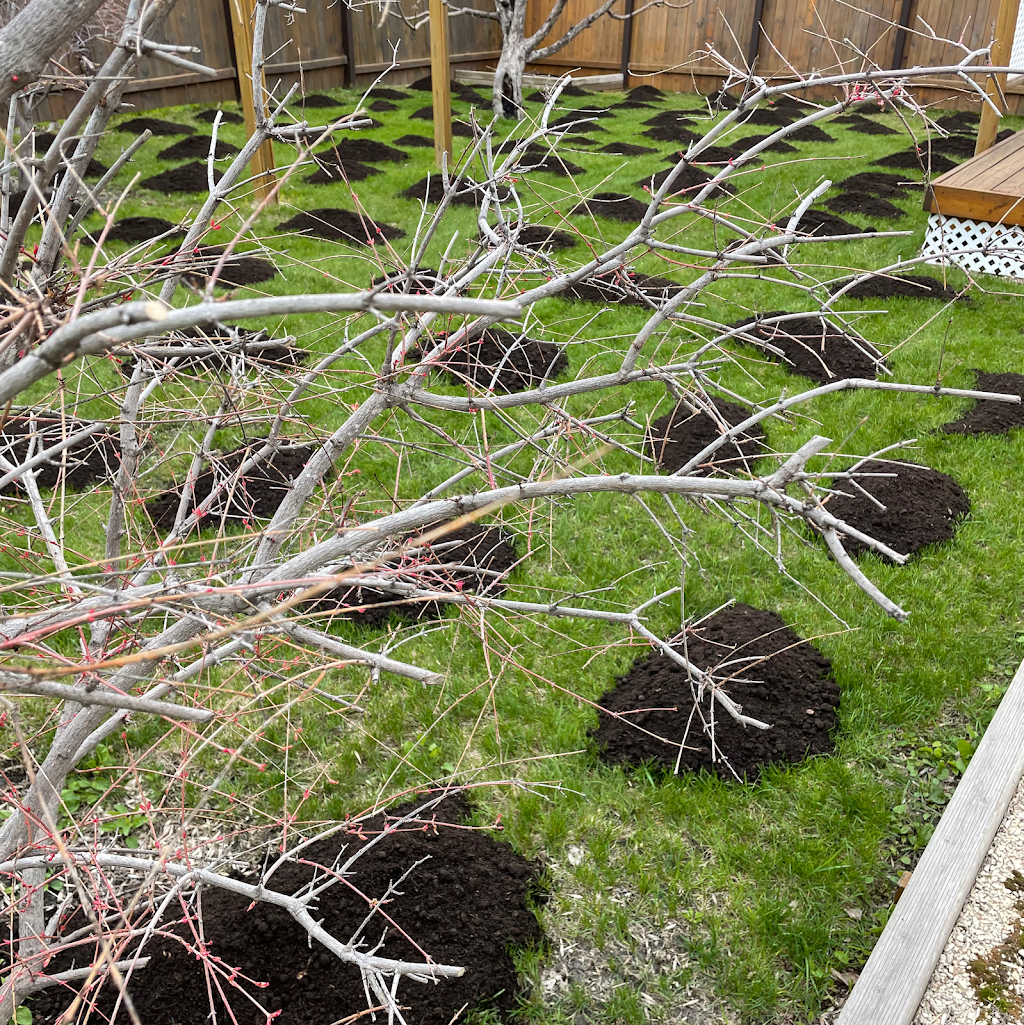 Good Turf Landscaping Services Inc. | 130 Sage Creek Blvd, Winnipeg, MB R3X 0P3, Canada | Phone: (204) 981-2533