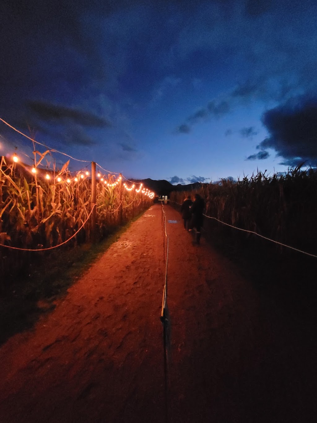 Reapers Haunted Attraction | 9423 Gibson Rd, Chilliwack, BC V2P 6H4, Canada | Phone: (604) 792-3407