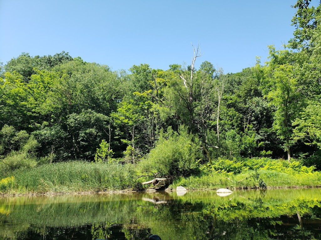 18 Mile Creek Park | 2600-2772 S Creek Rd, Hamburg, NY 14075, USA