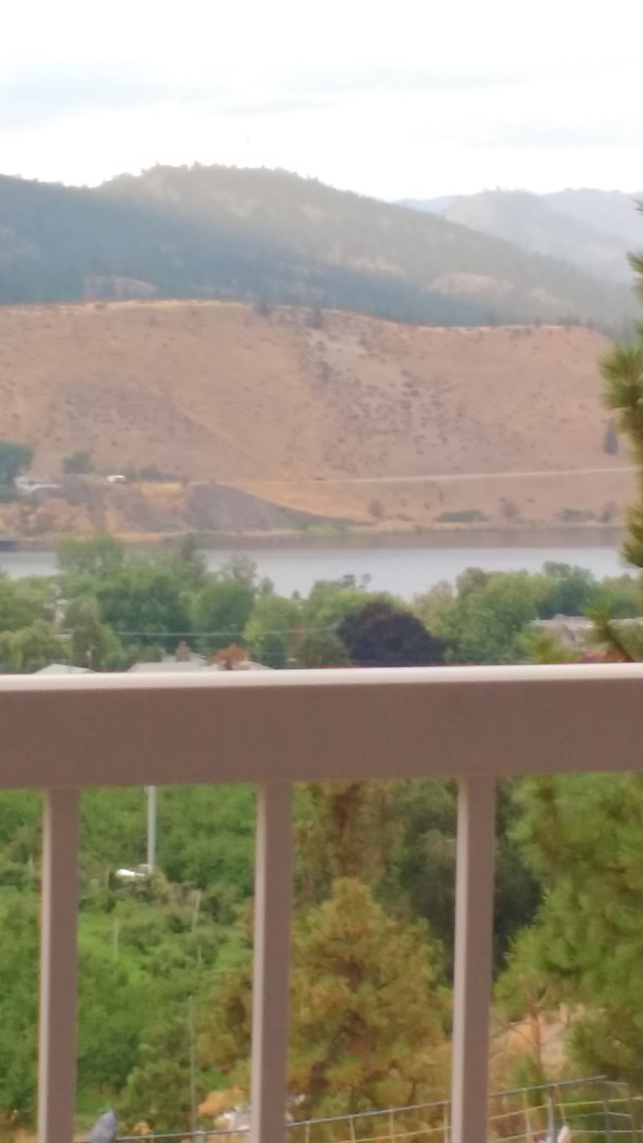Peachcliff B&B | 945 Peachcliff Dr, Okanagan Falls, BC V0H 1R1, Canada | Phone: (250) 497-7973