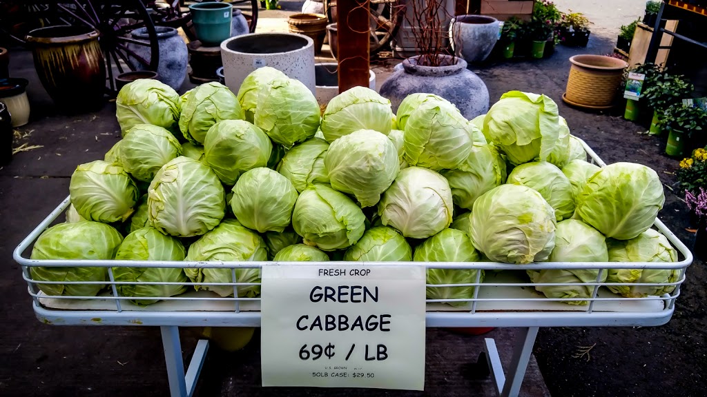 The Green Barn | 211 Birch Bay Lynden Rd, Lynden, WA 98264, USA | Phone: (360) 318-8869