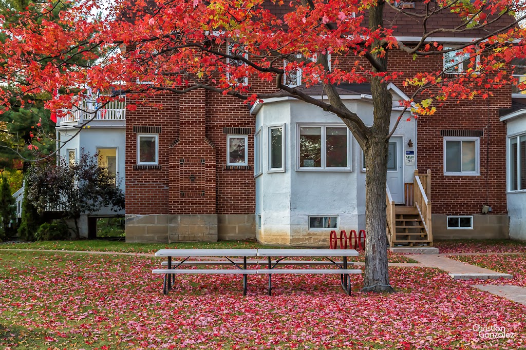 Député Peter Schiefke MP | 223 Av. Saint-Charles, Vaudreuil-Dorion, QC J7V 2L6, Canada | Phone: (450) 510-2305