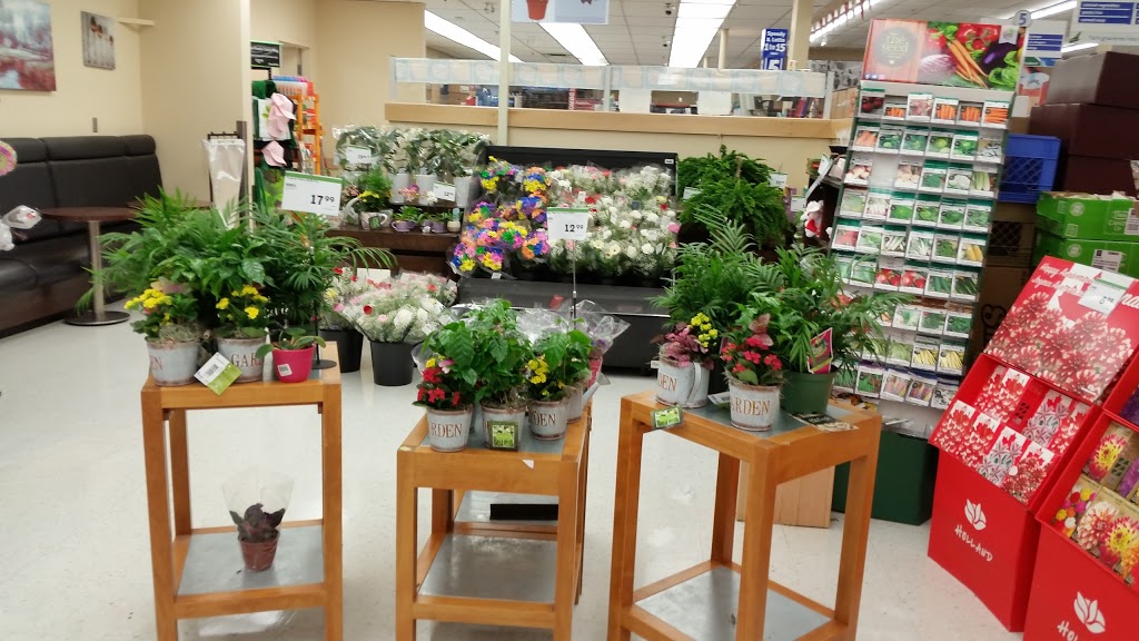 Foodland - Carbonear | 8 Goff Ave, Carbonear, NL A1Y 1A6, Canada | Phone: (709) 596-0659