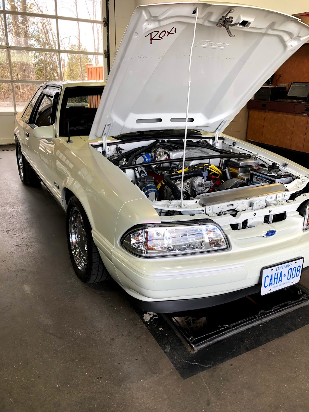 Jiffy Lube | 252 Eramosa Rd, Guelph, ON N1E 2M4, Canada | Phone: (519) 821-3183