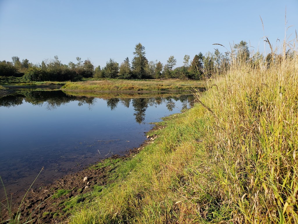 Jackman Wetlands, Aldergrove, BC | Langley Twp, BC V4W, Canada