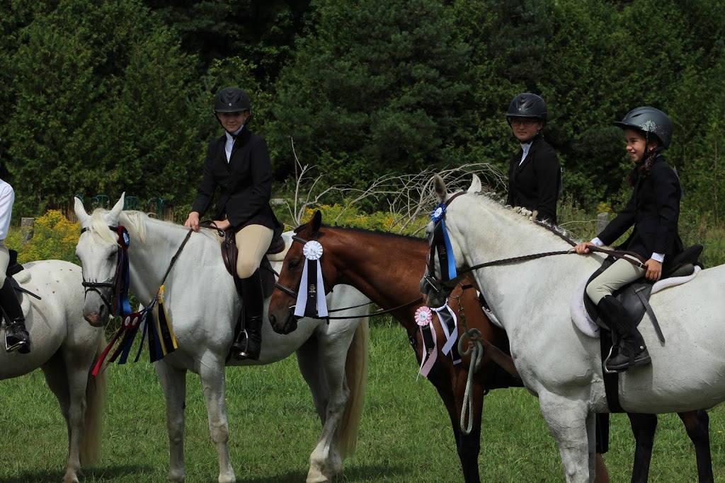 El Rancho Equestrian | 1922 County Rd 92, Elmvale, ON L0L 1P0, Canada | Phone: (705) 305-5068