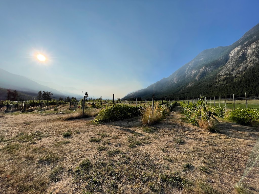 Cliff and Gorge Vineyards | 18460 Texas Creek Rd, Lillooet, BC V0K 1V0, Canada | Phone: (250) 256-8000