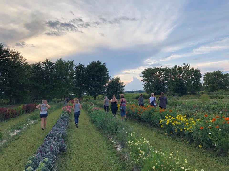 Black Creek Flower Farm | 4858 Line 34, Stratford, ON N5A 6S6, Canada | Phone: (519) 393-8265
