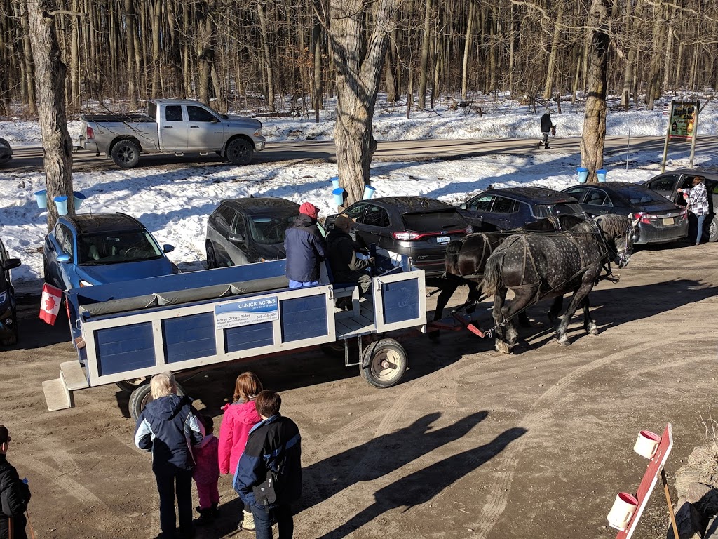 Auvergne Farms Ltd | 454414 Trillium Line, Beachville, ON N0J 1A0, Canada | Phone: (519) 539-1366