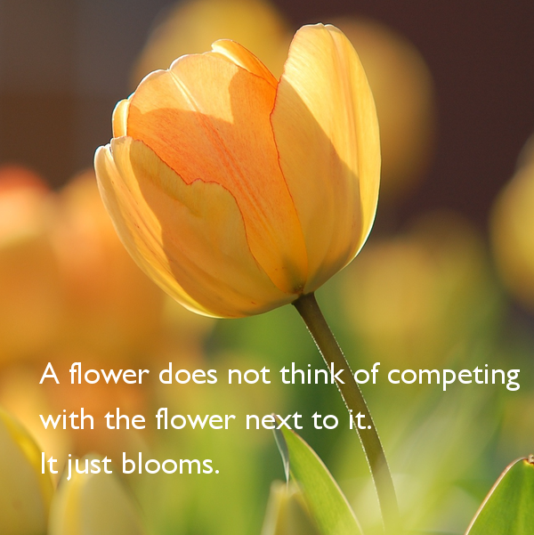 Living Lotus Healing | 2744 16 Ave SW Unit B, Calgary, AB T3C 1A4, Canada | Phone: (403) 971-1762