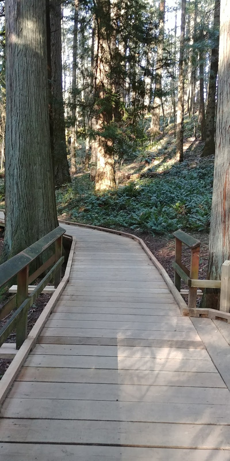 Francis King Regional Park - Main Parking Lot | Munn Rd, Saanich, BC V9E, Canada