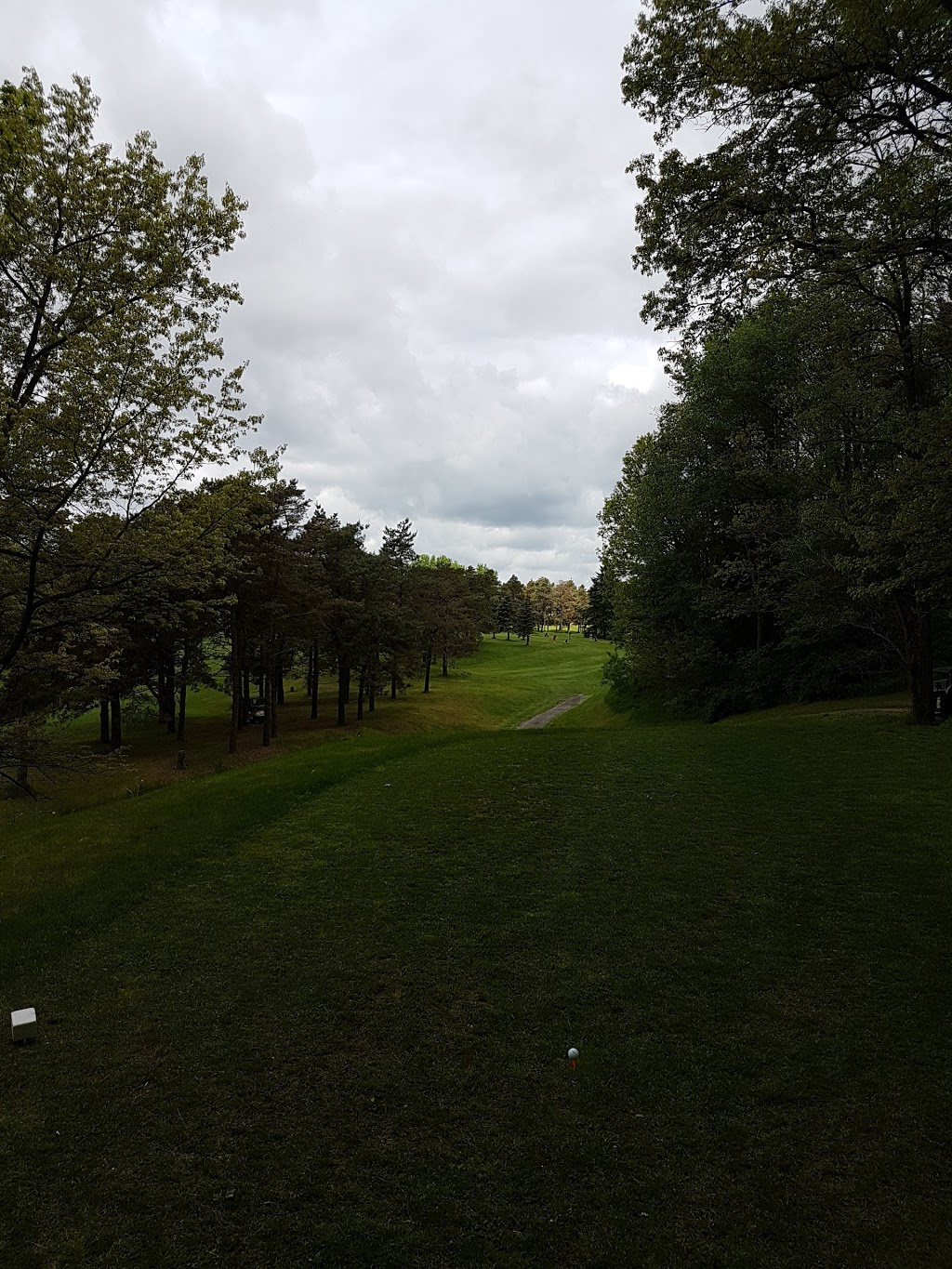Pine Valley Golf Club | Norfolk County, ON N0E 1P0, Canada | Phone: (519) 426-0683