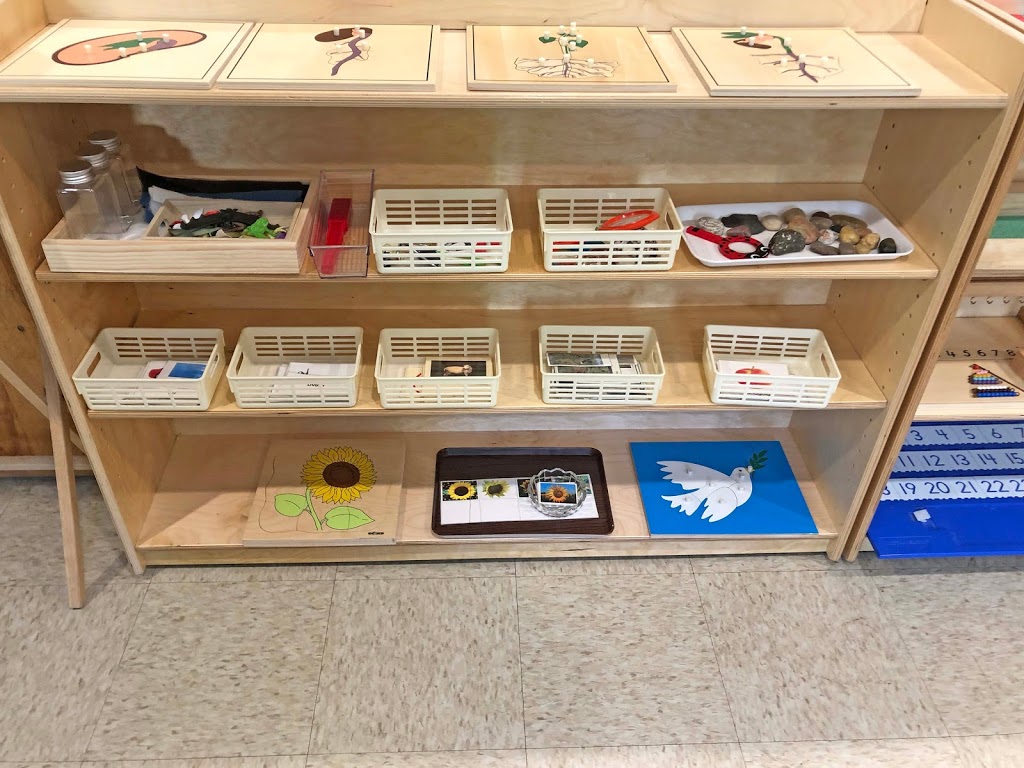 Green Tree Montessori Childrens Centre | 26489 Fraser Hwy, Aldergrove, BC V4W 3E2, Canada | Phone: (604) 625-4733