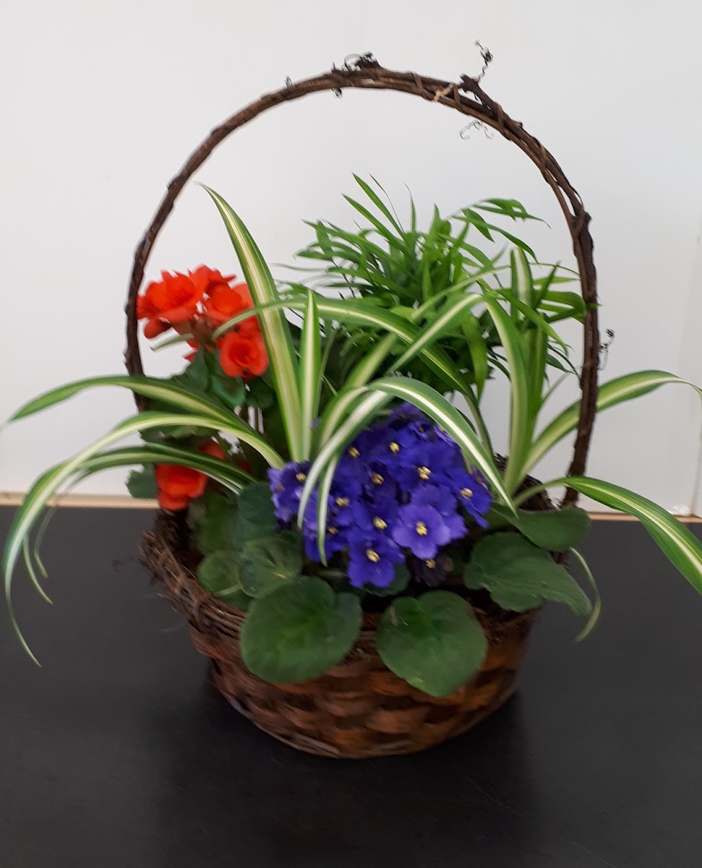 Delmerie Flowers | 66 10 Ave SE #5, High River, AB T1V 1E7, Canada | Phone: (403) 652-2674