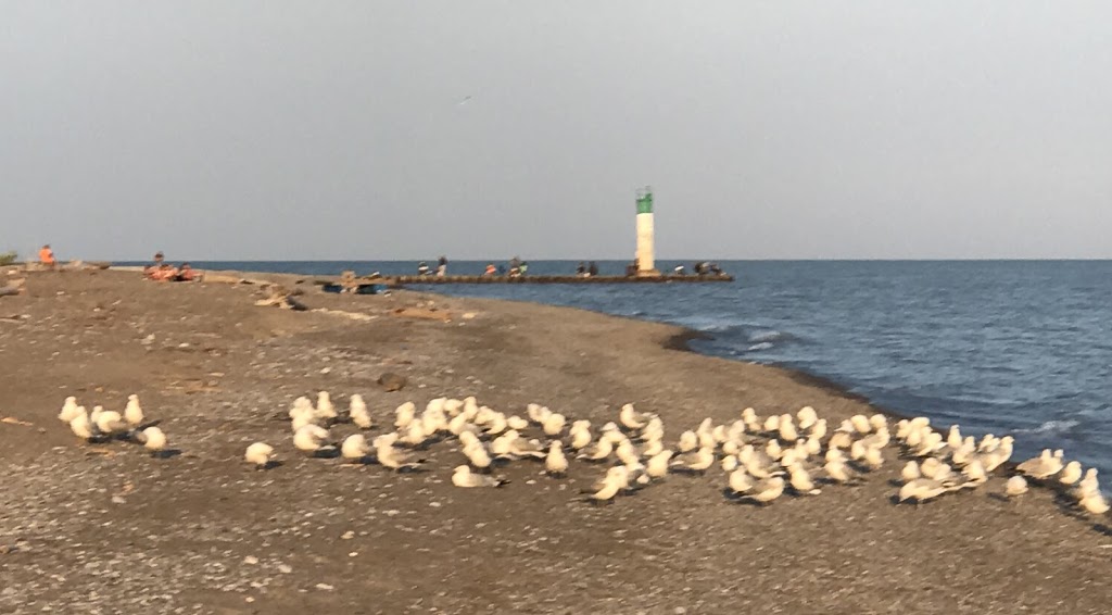 Port Bruce Provincial Park | 3360 Imperial Rd, Aylmer, ON N5H 2R2, Canada | Phone: (519) 874-4691