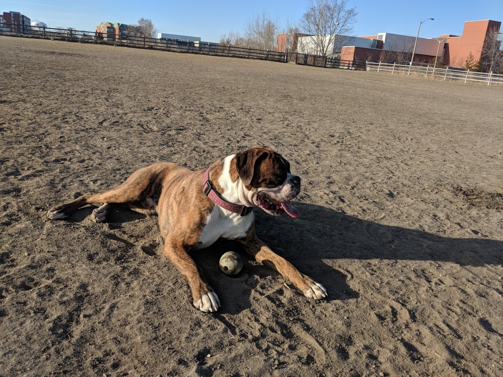 Colonel Samuel Smith Dog Park | dr 4b6, 65 Colonel Samuel Smith Park Dr, Etobicoke, ON M8V 4B6, Canada