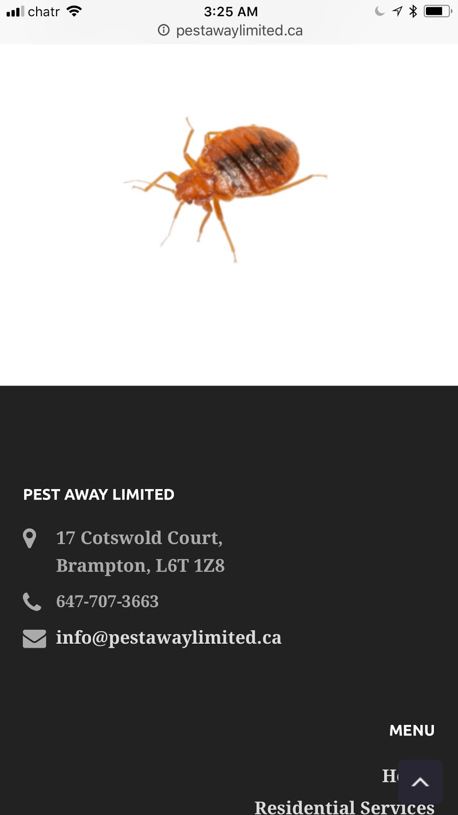 Pest Away Limited | 17 Cotswold Ct, Brampton, ON L6T 1Z8, Canada | Phone: (647) 707-3663