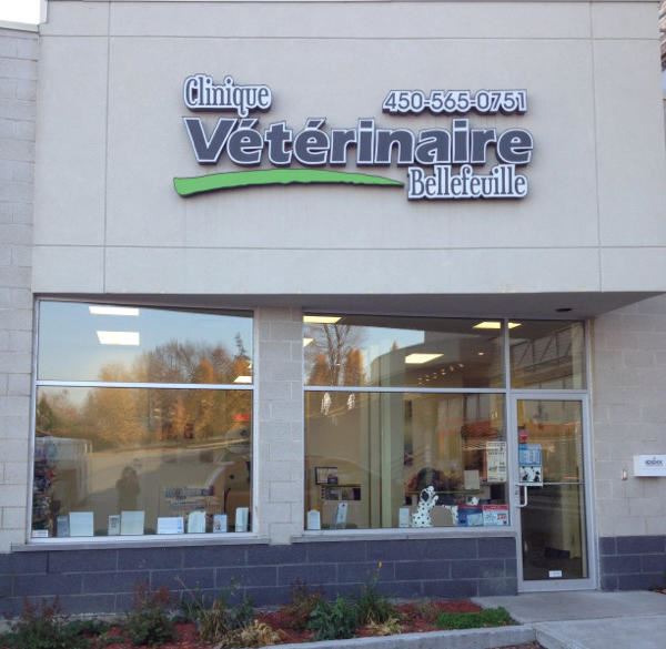 Clinique Vétérinaire Bellefeuille | 1082 Boulevard Roland-Godard, Saint-Jérôme, QC J7Y 4C6, Canada | Phone: (450) 565-0751