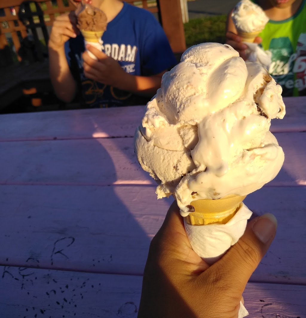 Holy Cones | 320 Flying Cloud Dr, Dartmouth, NS B2W 4T6, Canada