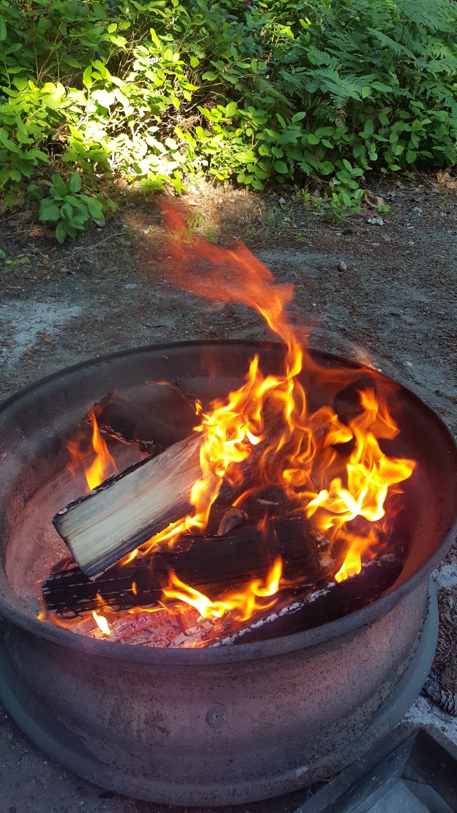 Bayside Campground & RV Park | 6040 Sechelt Inlet Rd, Sechelt, BC V0N 3A3, Canada | Phone: (604) 885-7444