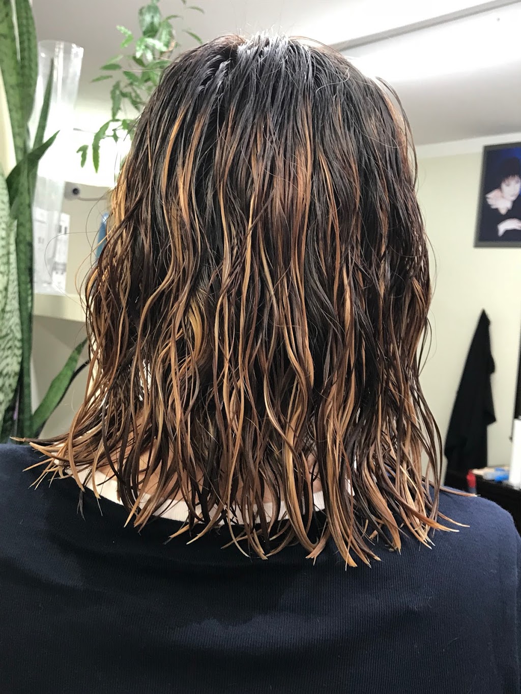 Cindy Vu Hair Design | 690 Jane St, York, ON M6N 4A6, Canada | Phone: (416) 766-2405