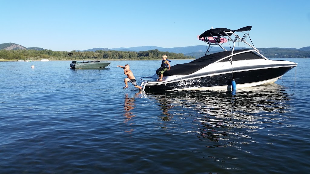 Sunny Shuswap Cabin Rentals | 7569 Golden Spur Trail, Anglemont, BC V0E 1A0, Canada | Phone: (250) 463-9804
