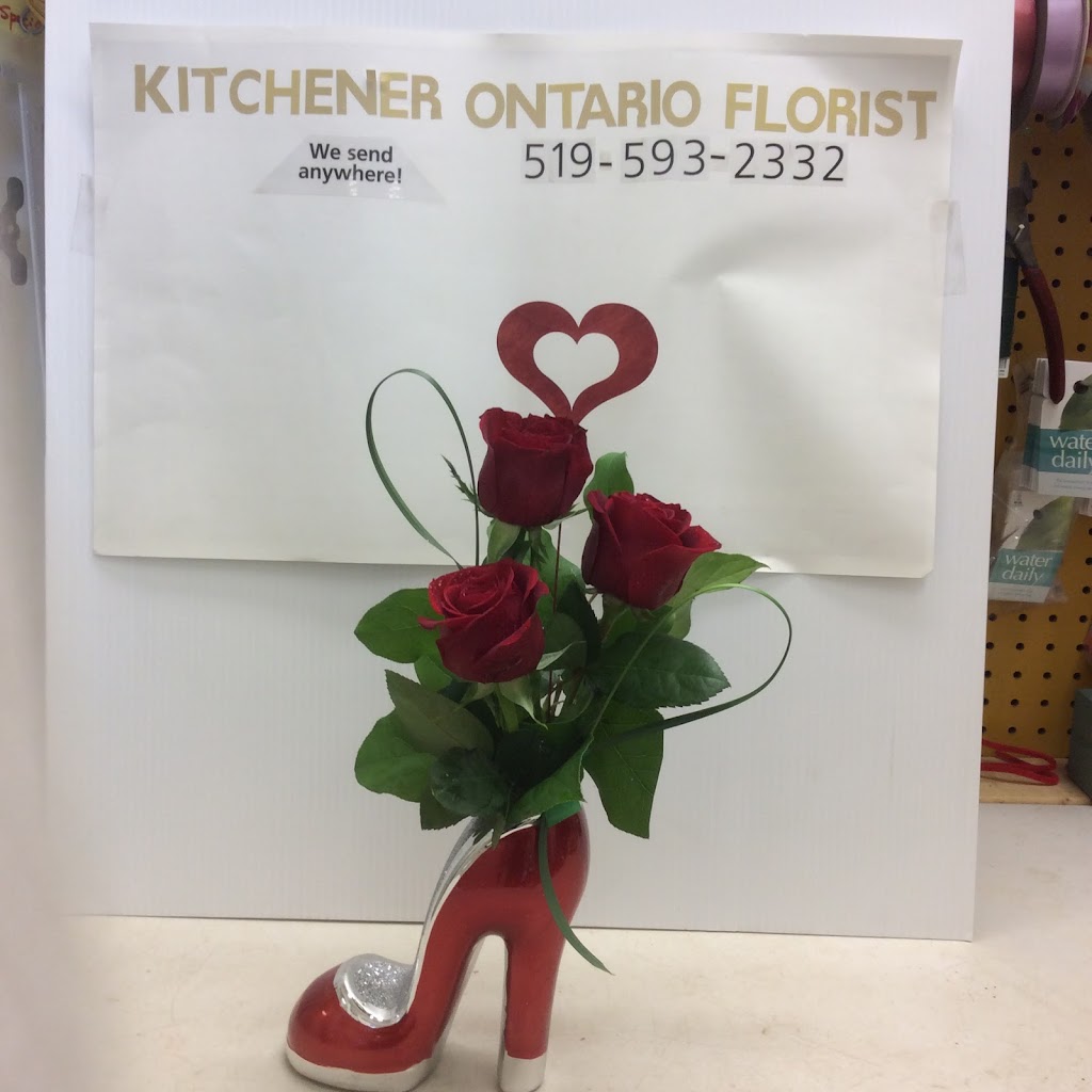 Kitchener Ontario Florist | 499 Lancaster St W, Kitchener, ON N2K 1L8, Canada | Phone: (519) 593-2332