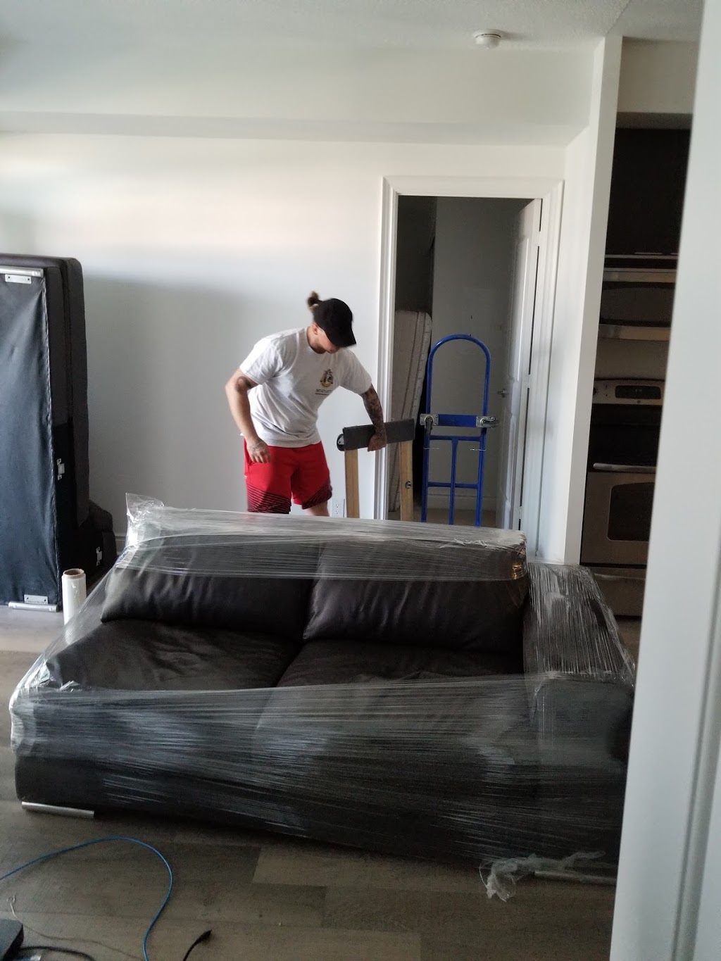 Zebra Movers Newmarket | 98 Jordanray Blvd, Newmarket, ON L3X 2P8, Canada | Phone: (905) 657-9207