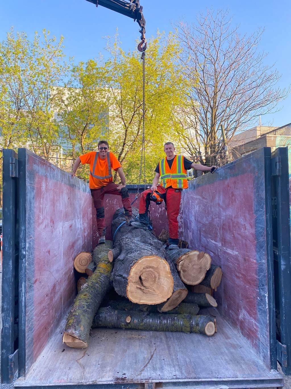GreenCare Tree Services | 808 Courtland Ave E, Kitchener, ON N2C 1K3, Canada | Phone: (519) 329-0938