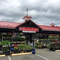 Buckerfields | 587 Alberni Hwy, Parksville, BC V9P 1J9, Canada | Phone: (250) 248-3243