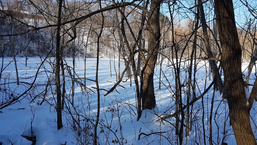 Woodcliff Greenbelt | Woodcliff Greenbelt, Toronto, ON M3B, Canada