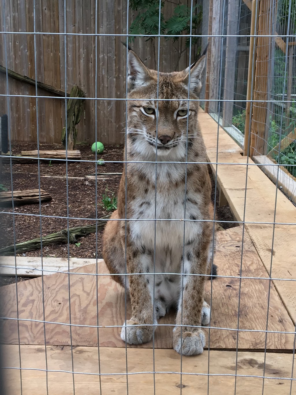 Little Rays Reptile Zoo and Nature Centre | 5305 Bank St, Gloucester, ON K1X 1H2, Canada | Phone: (613) 822-8924