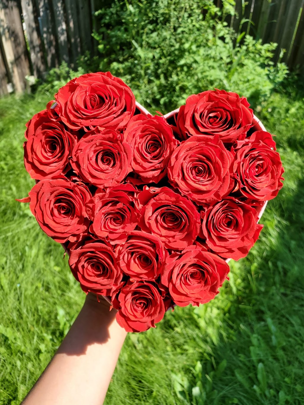 Fantasy Roses | 9 Boulder Crescent, Guelph, ON N1G 5A3, Canada | Phone: (519) 820-6217