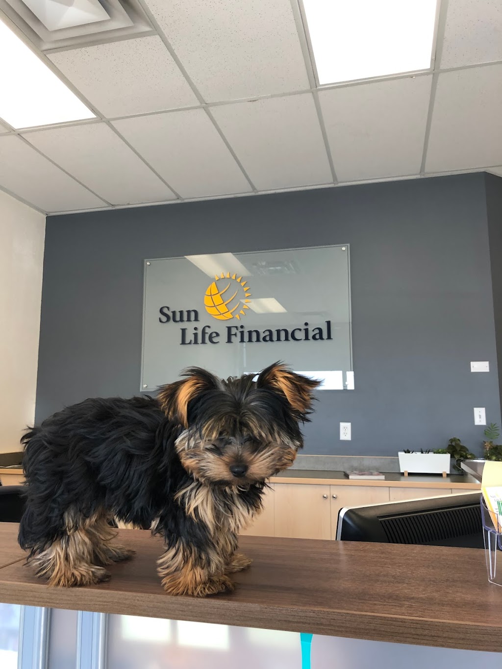 Sun Life- Blackfalds | Box 1149, 5009 Parkwood Rd, Blackfalds, AB T0M 0J0, Canada | Phone: (403) 600-0300