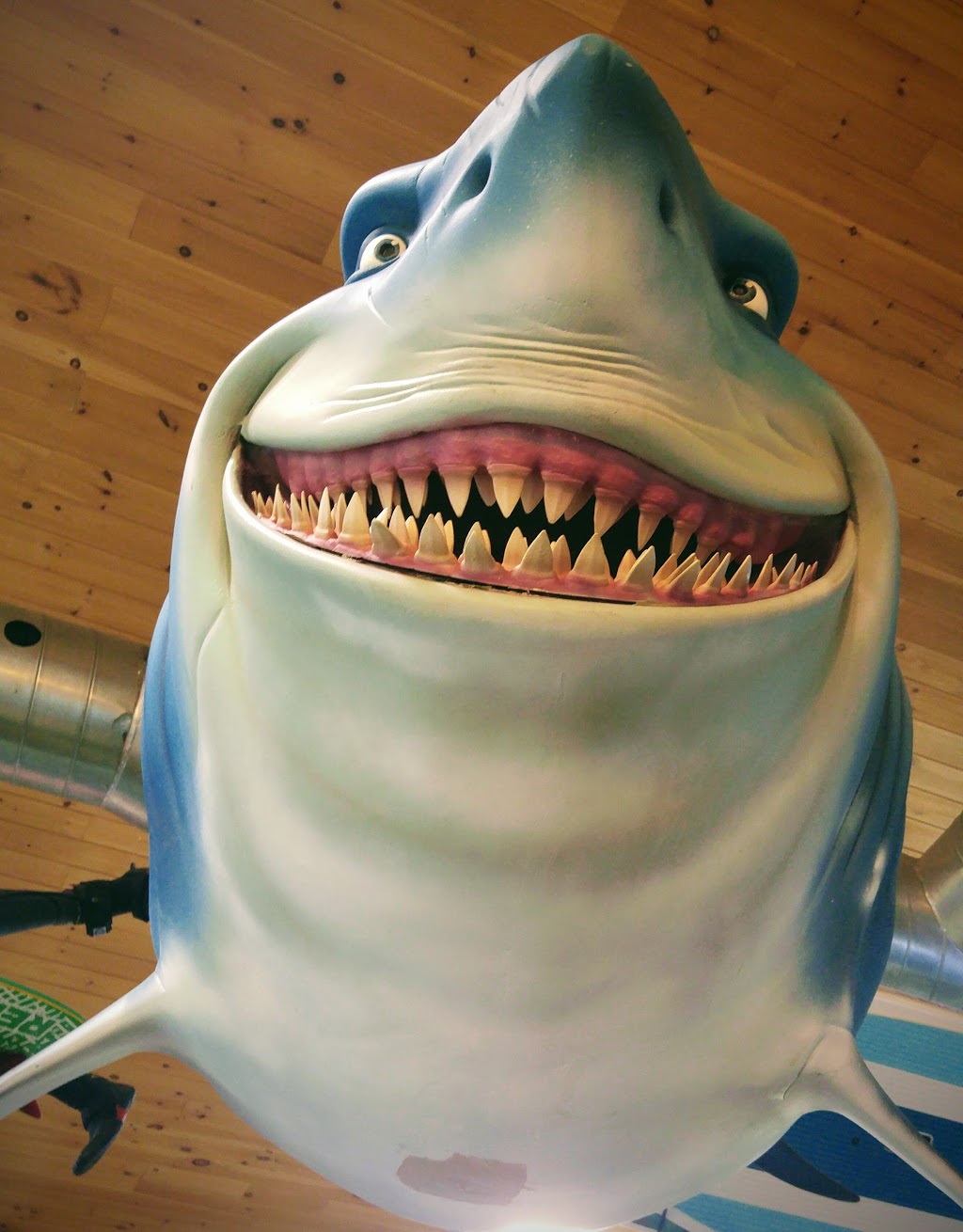 Sharks La Boutique | 313 Boulevard Cartier O, Laval, QC H7N 2J3, Canada | Phone: (450) 663-5543