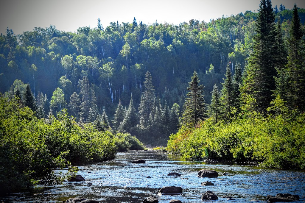 Kabania | 2244 Chemin du Grand Duc, Notre-Dame-de-la-Merci, QC J0T 2A0, Canada | Phone: (844) 522-2642