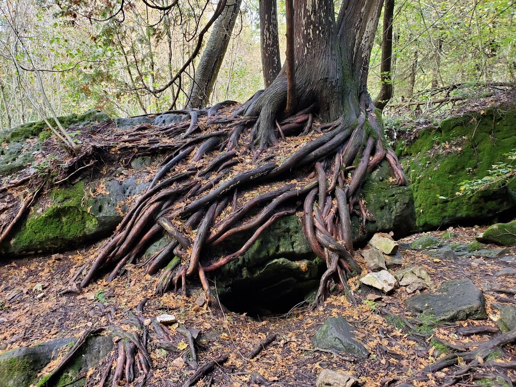 Bruces Caves Conservation Area | Grey Rd 1, Wiarton, ON N0H 2T0, Canada | Phone: (519) 376-3076