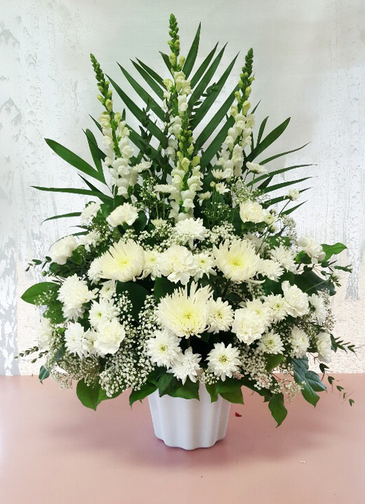 Shop For Flowers | 332 Main St N, Brampton, ON L6V 1P8, Canada | Phone: (905) 453-8634