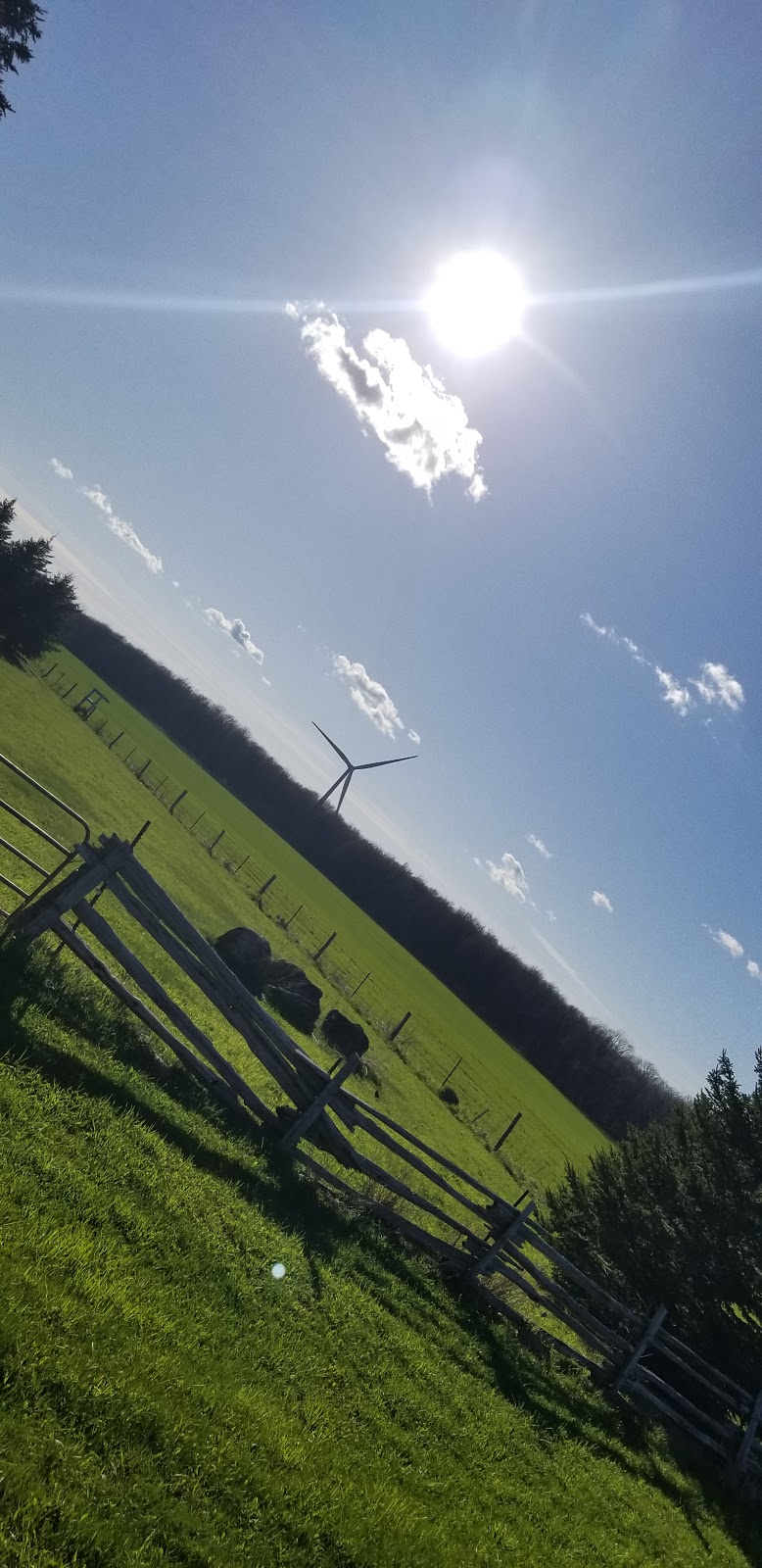 DJP Svc | Melancthon, ON L9V 0N4, Canada | Phone: (519) 925-5895