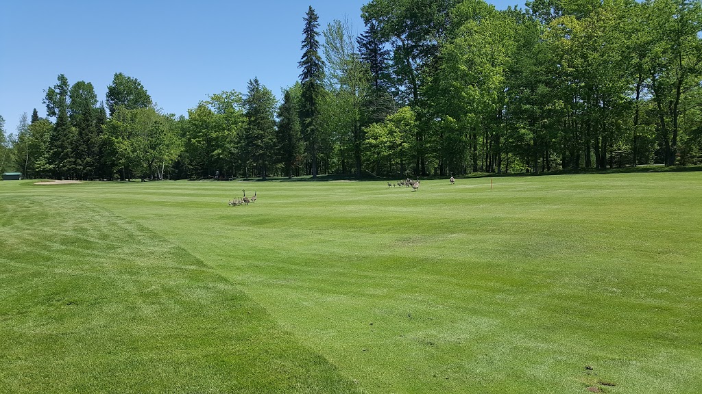 Club de Golf de Plessisville | 328 Rang du Golf, Plessisville, QC G6L 2Y2, Canada | Phone: (819) 362-3387