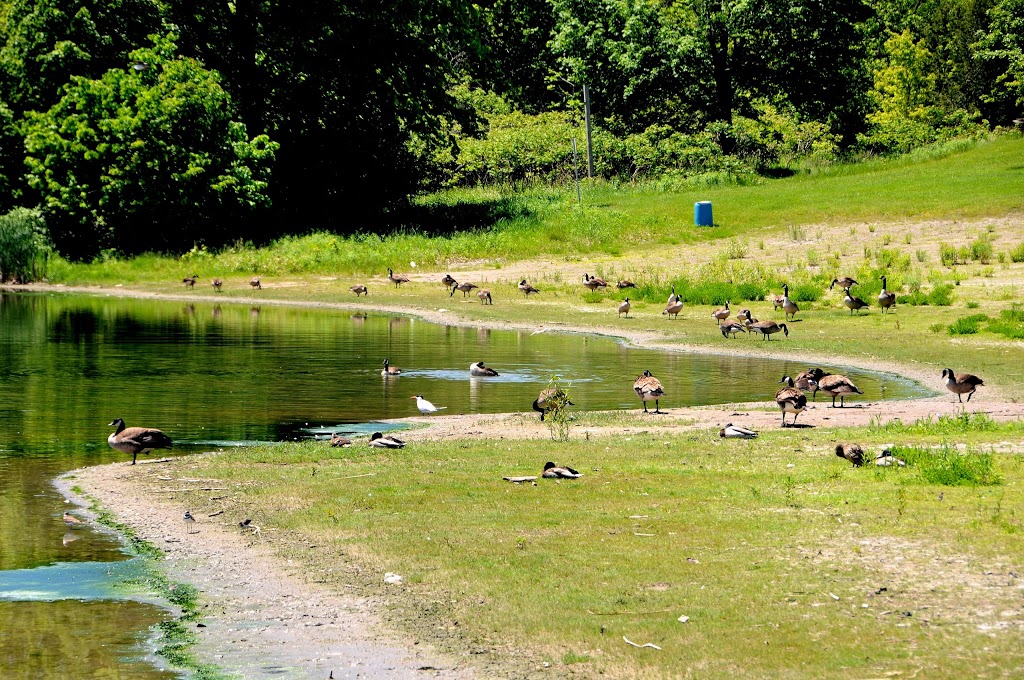 Milne Dam Conservation Park | 8251 McCowan Rd, Markham, ON L3P 3J3, Canada | Phone: (905) 477-5530