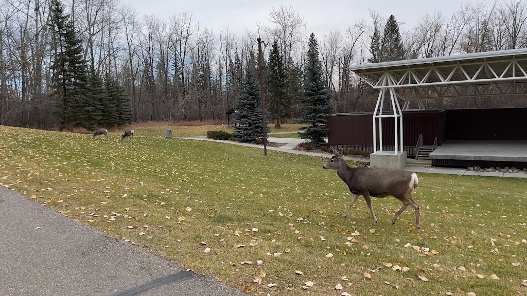 Bower Ponds Pavillion | 4707 Fountain Dr Unit 6, Red Deer, AB T4N 6W4, Canada | Phone: (403) 318-6298