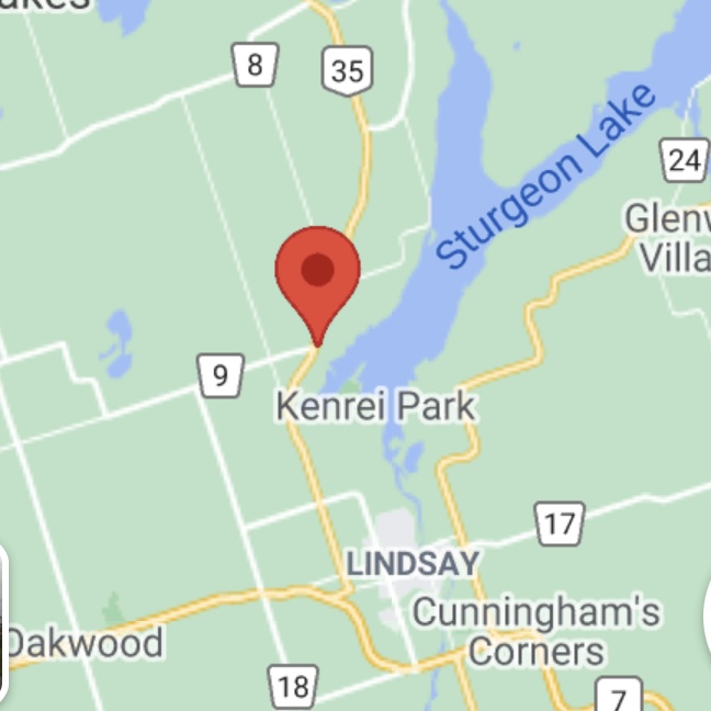 Average Joes Storage | 3890 ON-35, Cameron, ON K0M 1G0, Canada | Phone: (705) 307-5189