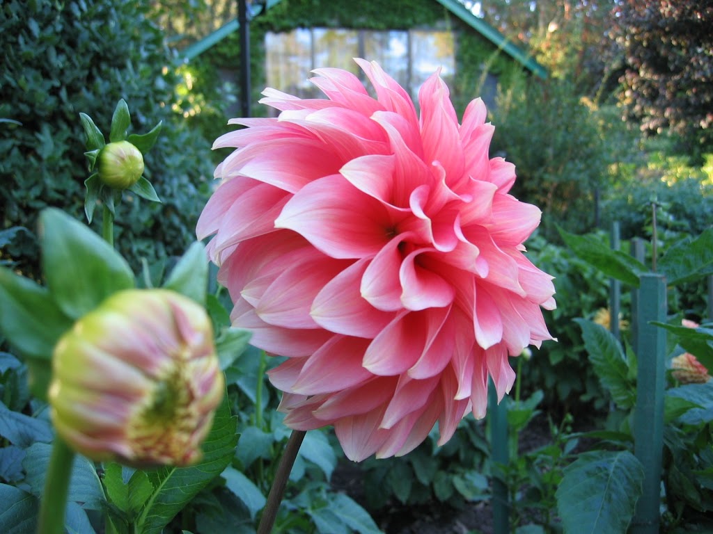 Italian Garden | Brentwood Bay, BC V8M 1J8, Canada