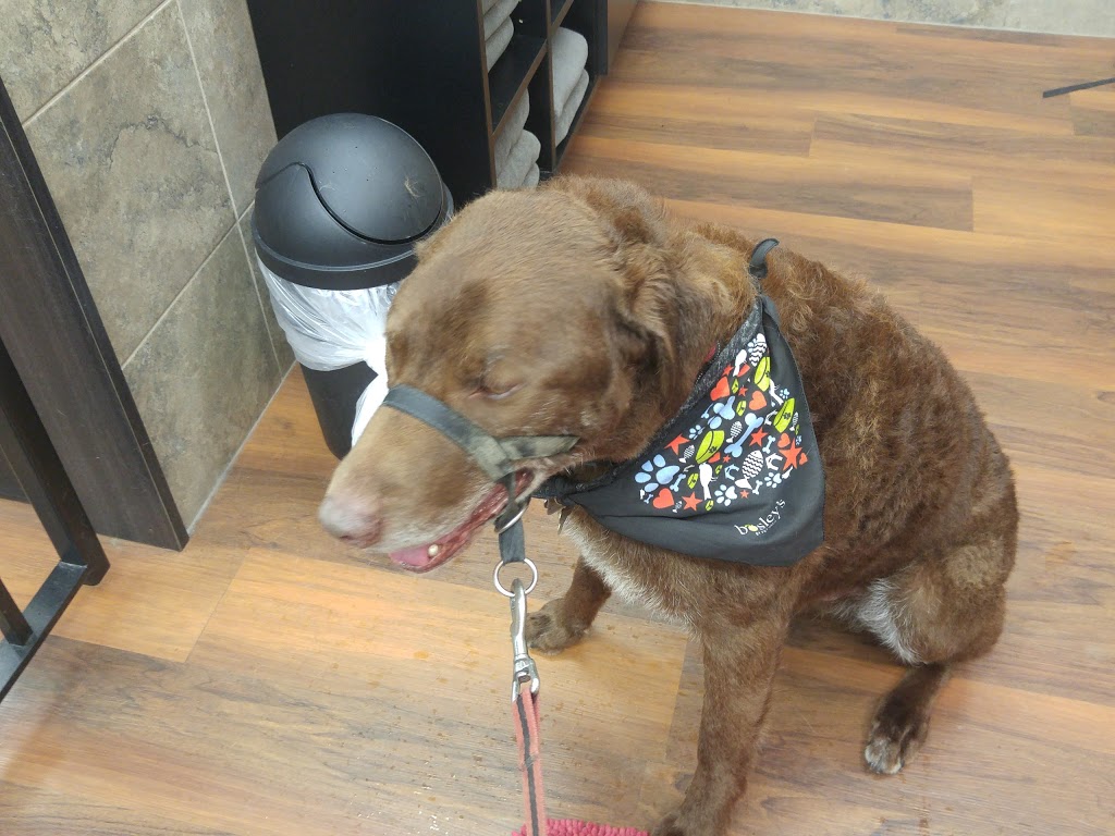 Bosleys by Pet Valu | 1982 Kane Rd, Kelowna, BC V1V 2E5, Canada | Phone: (250) 868-0586
