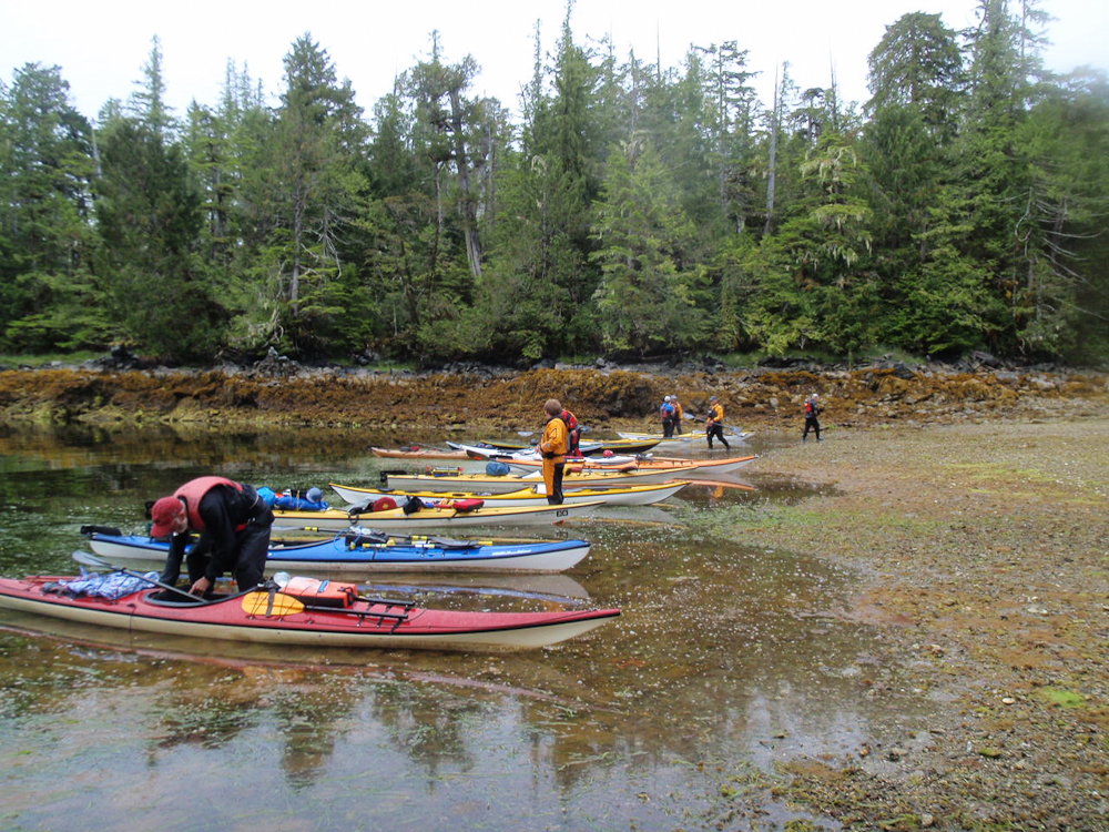 Deep Bay Kayaking | 1164 Parry Pl, Comox, BC V9M 3Y9, Canada | Phone: (778) 939-7676