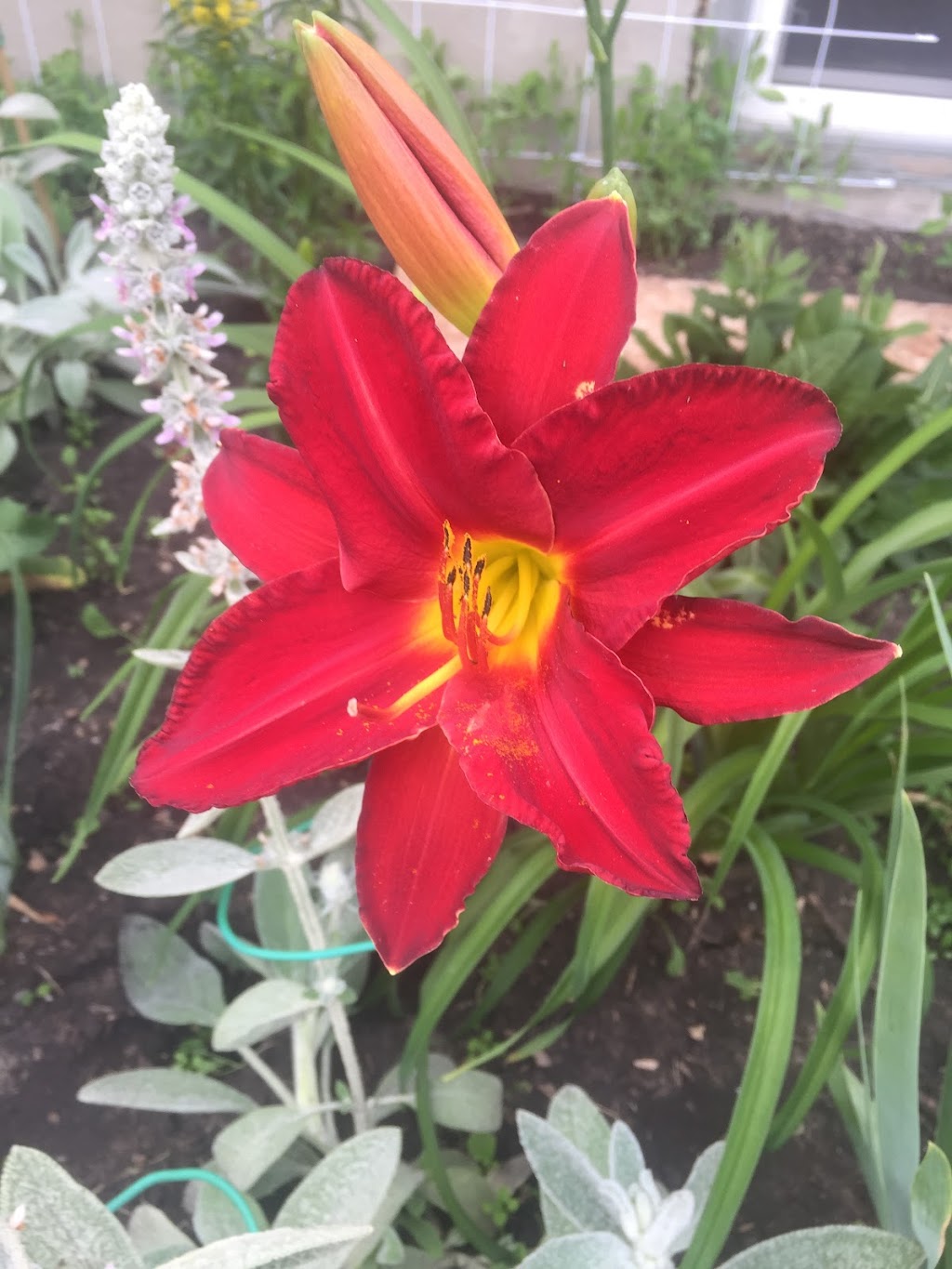 Mackenzie Landscaping Ltd. | 5906 56 Ave, Red Deer, AB T4N 4R2, Canada | Phone: (403) 505-3033